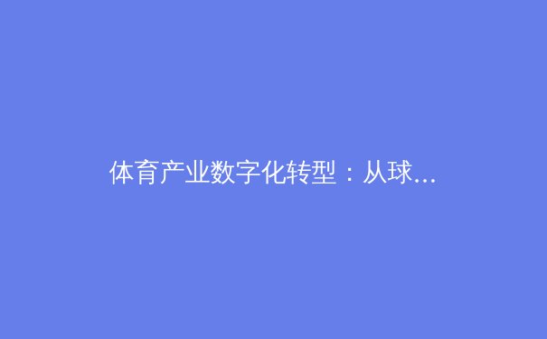 体育产业数字化转型：从球场到云端的商业革命与伦理挑战 - 2